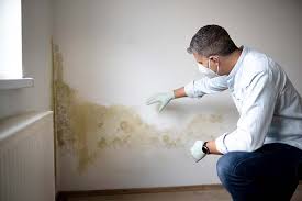 Best Mold Removal for HVAC Installations  in Elephant Butte, NM